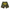 GV Gallery Camo Raspberry Hills Shorts
