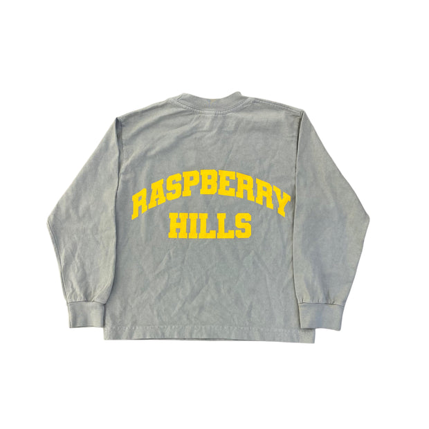 GV Raspberry Hills Long Sleeve Tee Cement (Kids)