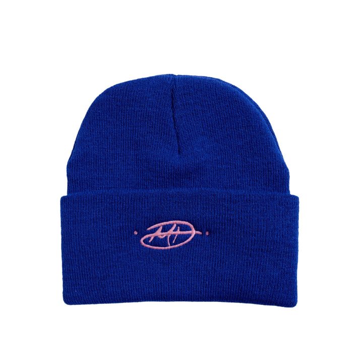 Matty Boy Anti Promo Stay Fast Beanie Blue