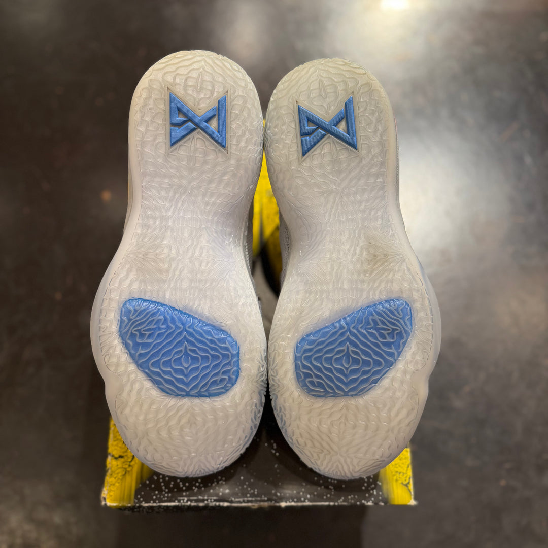 Nike PG 2.5 Playstation Wolf Grey (PREOWNED)