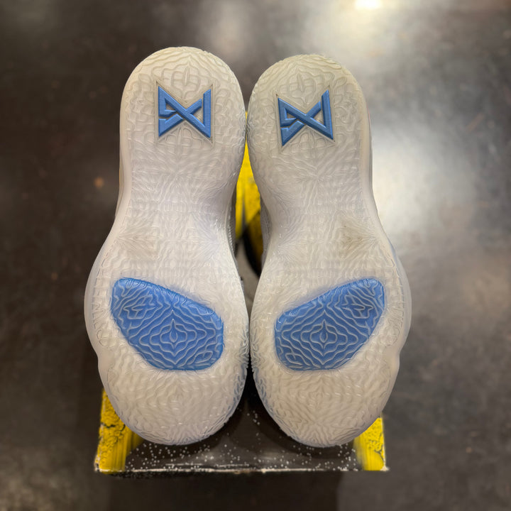 Nike PG 2.5 Playstation Wolf Grey (PREOWNED)