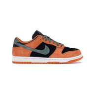 Nike Dunk Low Ceramic