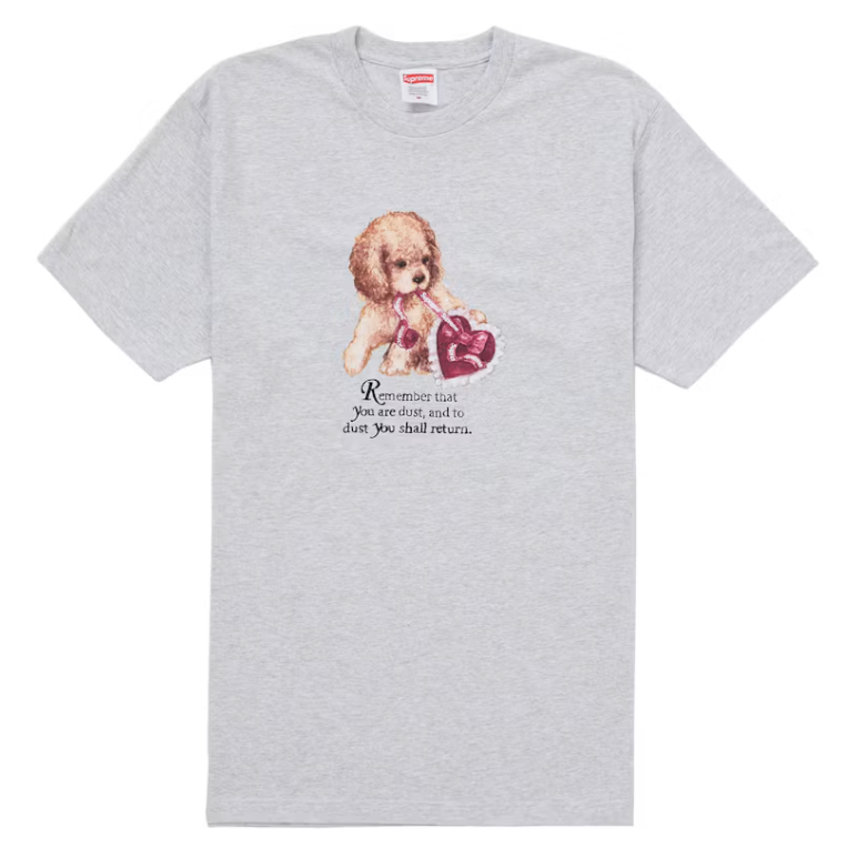Supreme Ash Grey Dust Tee